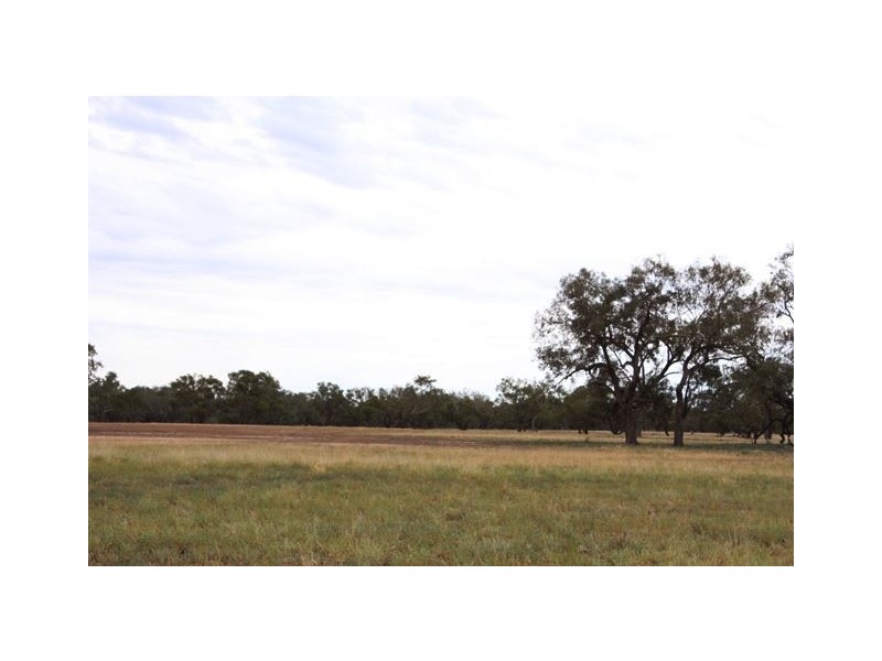 Gulla Paddock, Cobar NSW 2835