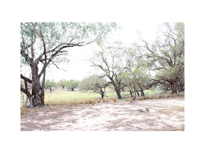 Gulla Paddock, Cobar NSW 2835