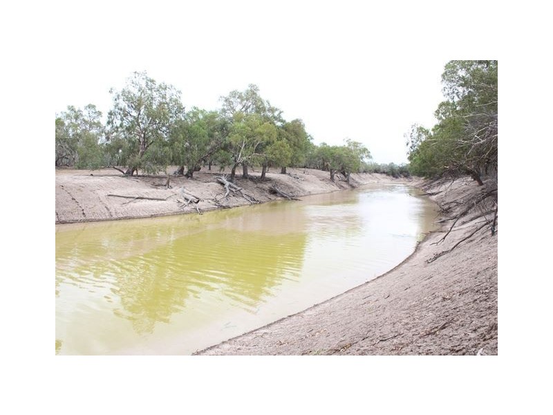 Gulla Paddock, Cobar NSW 2835
