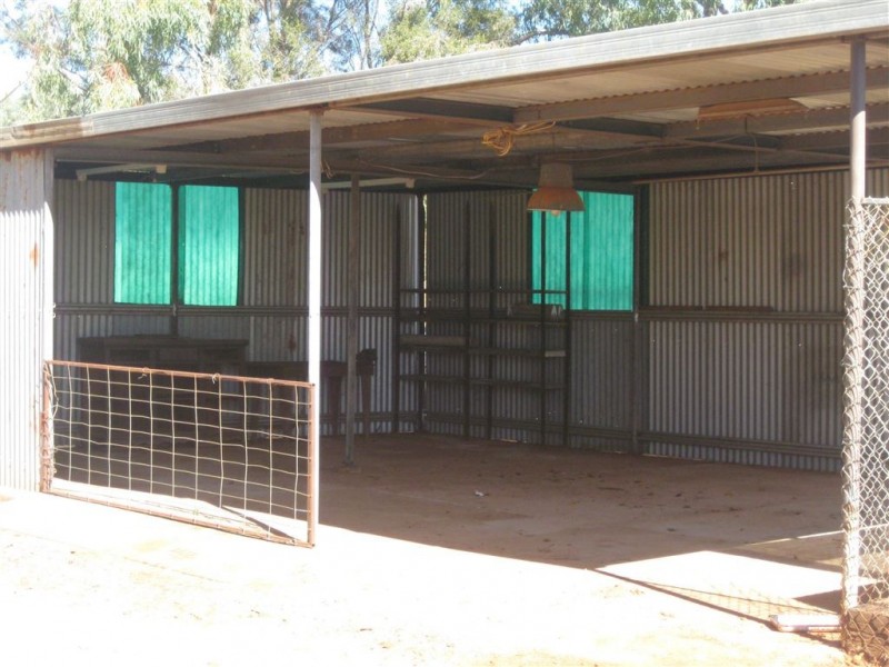 3 Cypress Place, Cobar NSW 2835