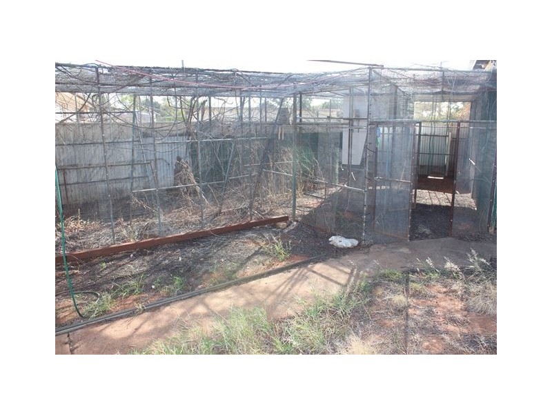 19 Louth Road, Cobar NSW 2835