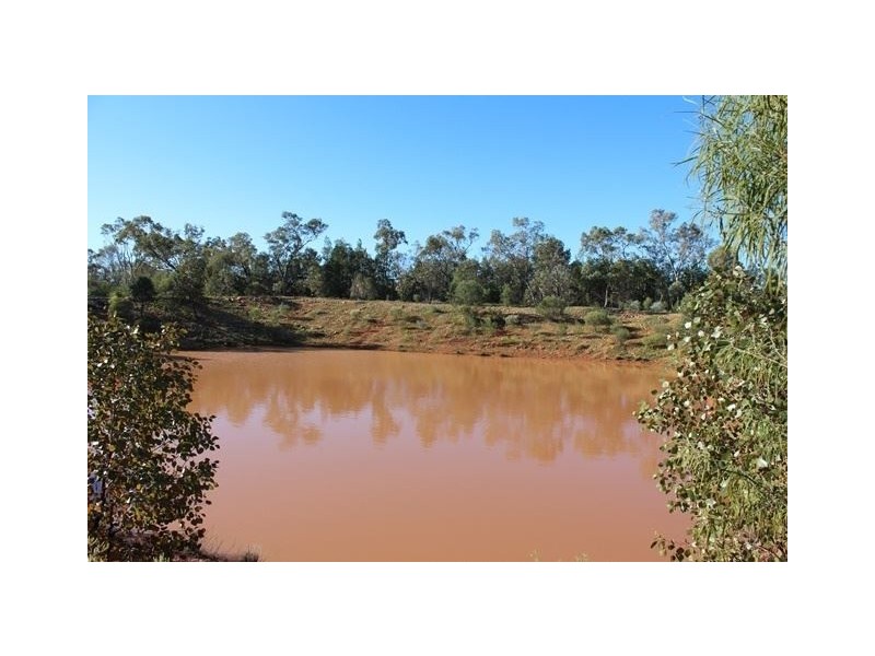 - TERRAMIA, Cobar NSW 2835