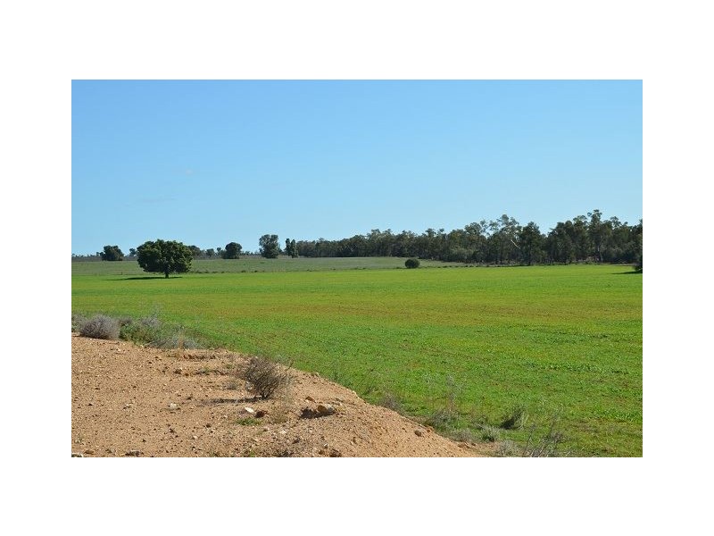 * Kallara, Nyngan NSW 2825