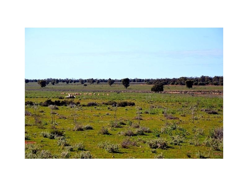 * Kallara, Nyngan NSW 2825