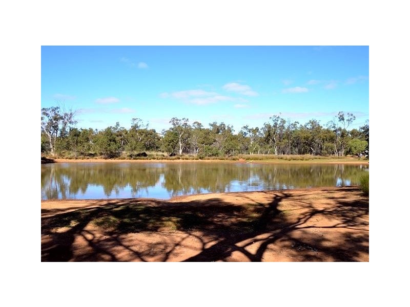 * Kallara, Nyngan NSW 2825