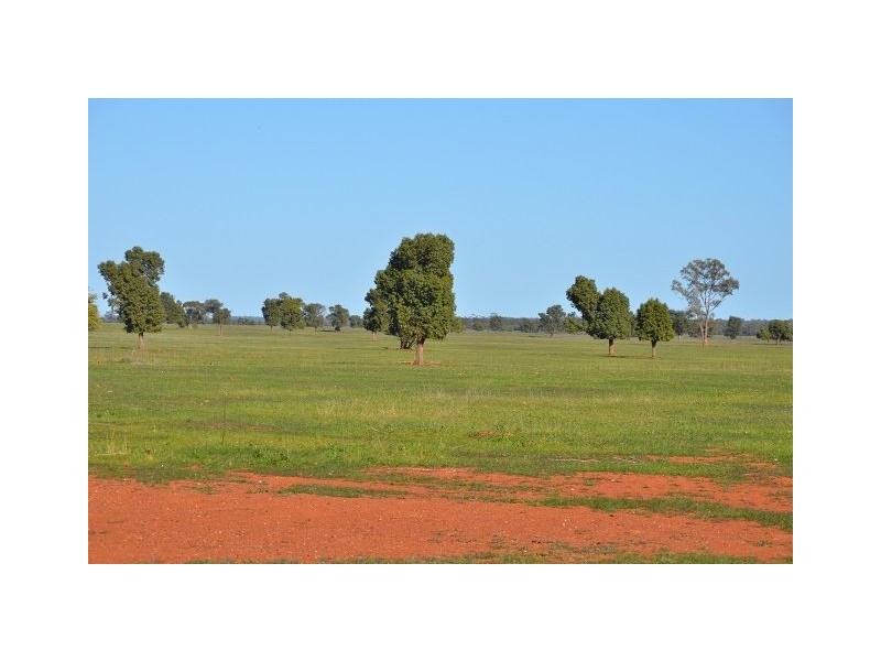 * Kallara, Nyngan NSW 2825
