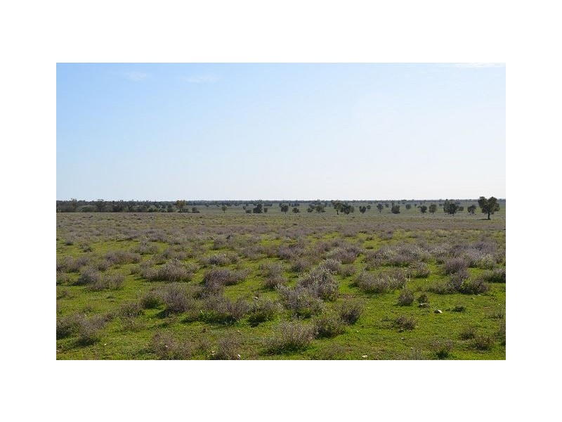 * Kallara, Nyngan NSW 2825