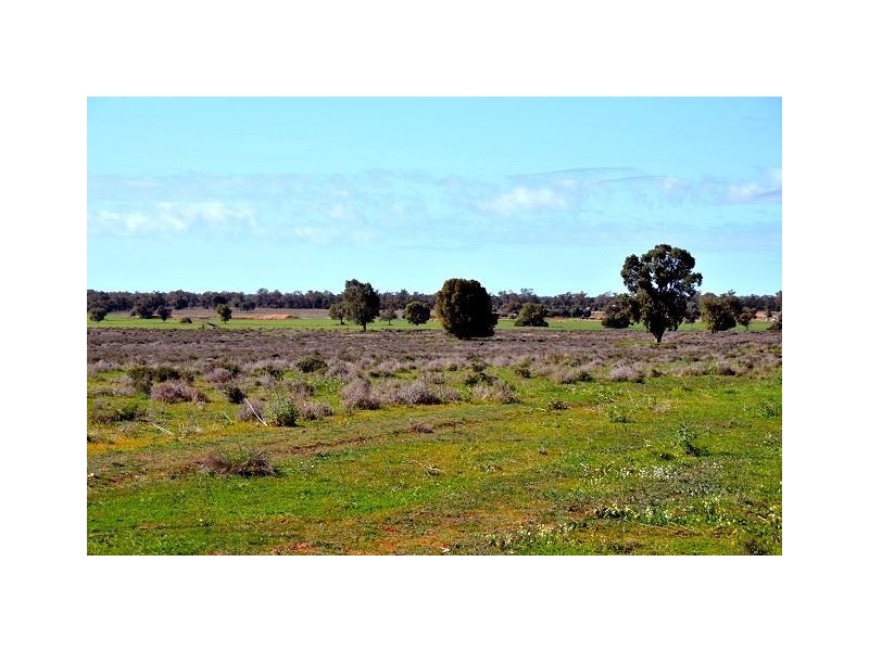 * Kallara, Nyngan NSW 2825