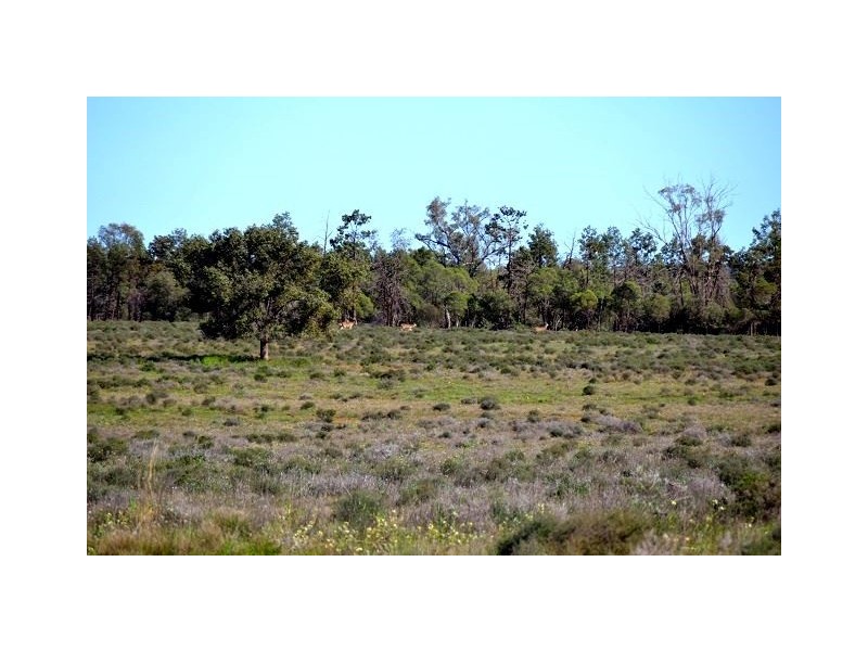 * Kallara, Nyngan NSW 2825