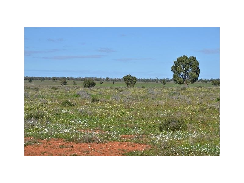 * Kallara, Nyngan NSW 2825