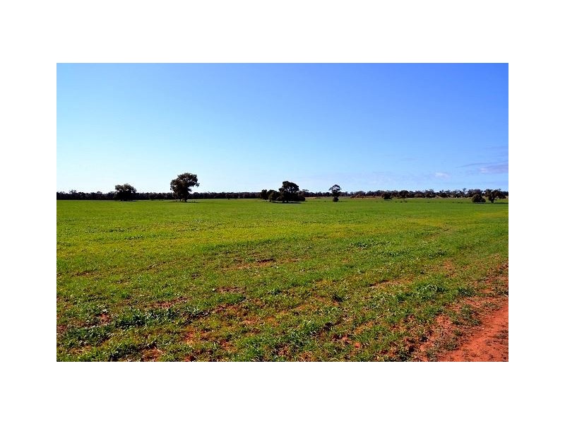 * Kallara, Nyngan NSW 2825