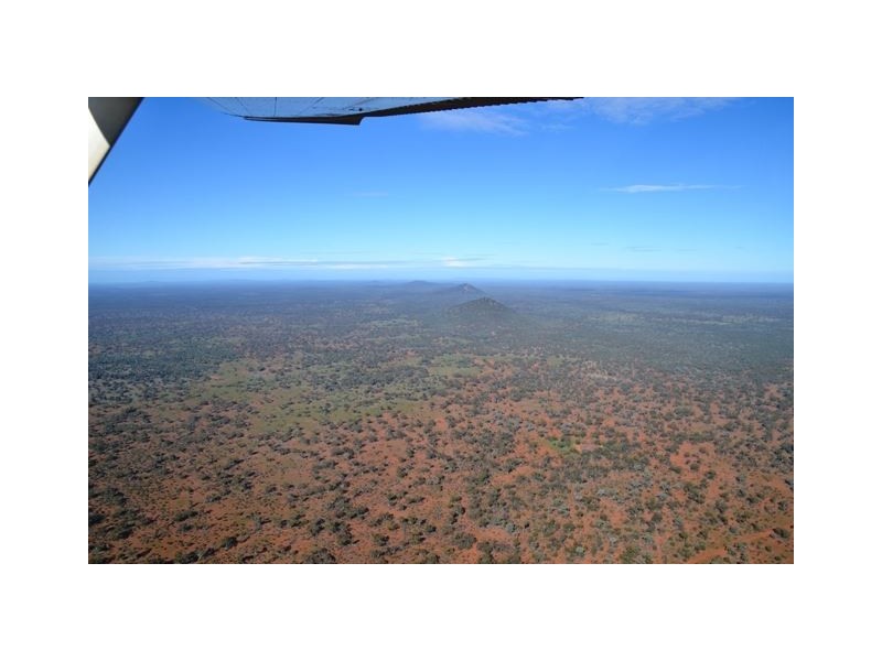 * Brambah, Cobar NSW 2835