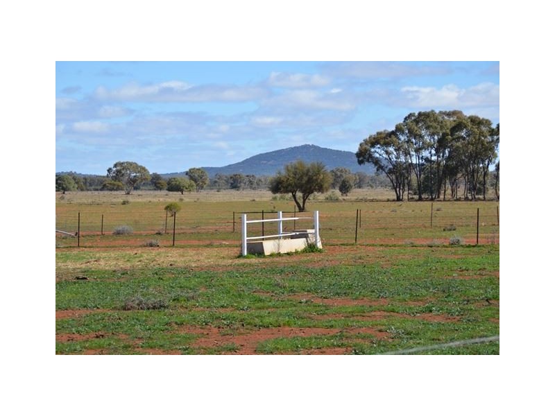 * Brambah, Cobar NSW 2835