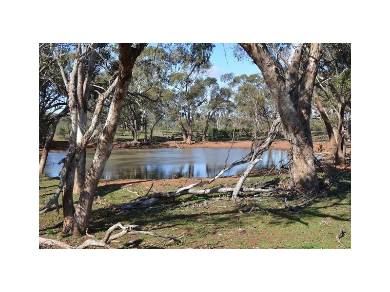 * Brambah, Cobar NSW 2835