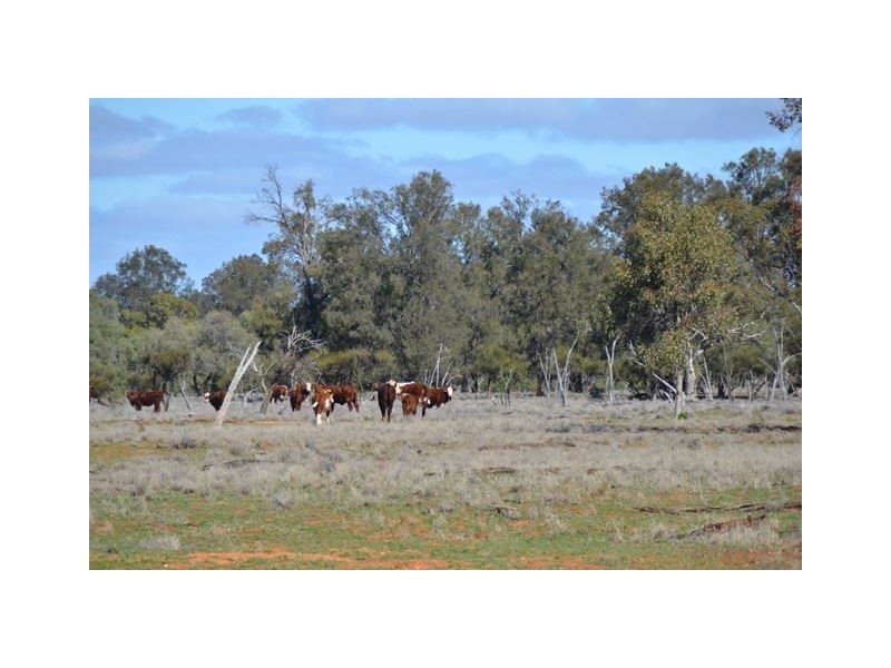 * Brambah, Cobar NSW 2835