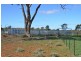 * Brambah, Cobar NSW 2835
