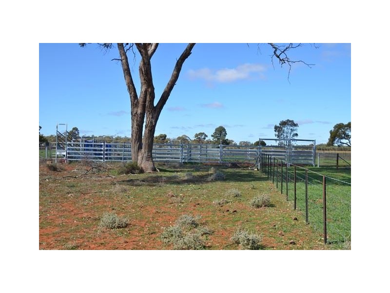 * Brambah, Cobar NSW 2835