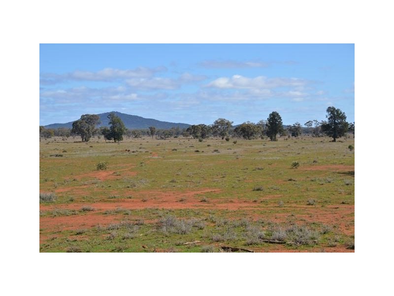 * Brambah, Cobar NSW 2835