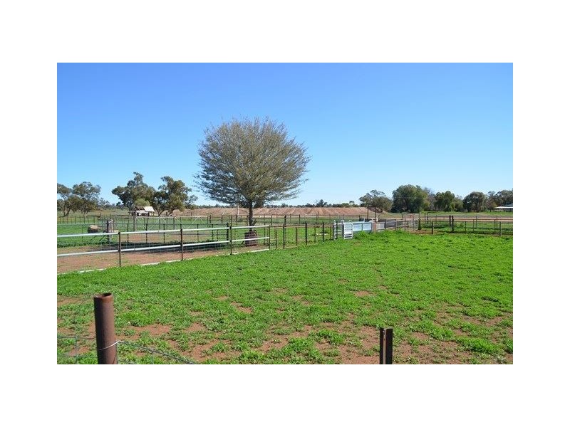 * Paddington Station, Cobar NSW 2835