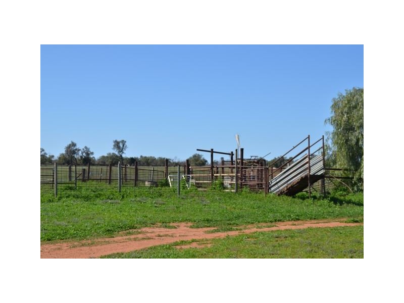 * Paddington Station, Cobar NSW 2835