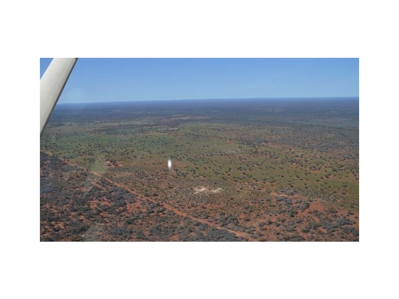 * Paddington Station, Cobar NSW 2835