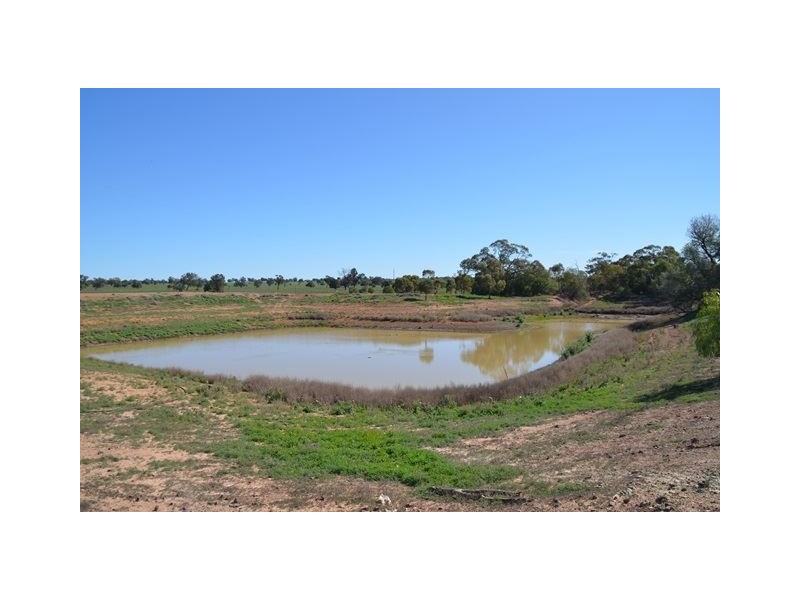 * Paddington Station, Cobar NSW 2835