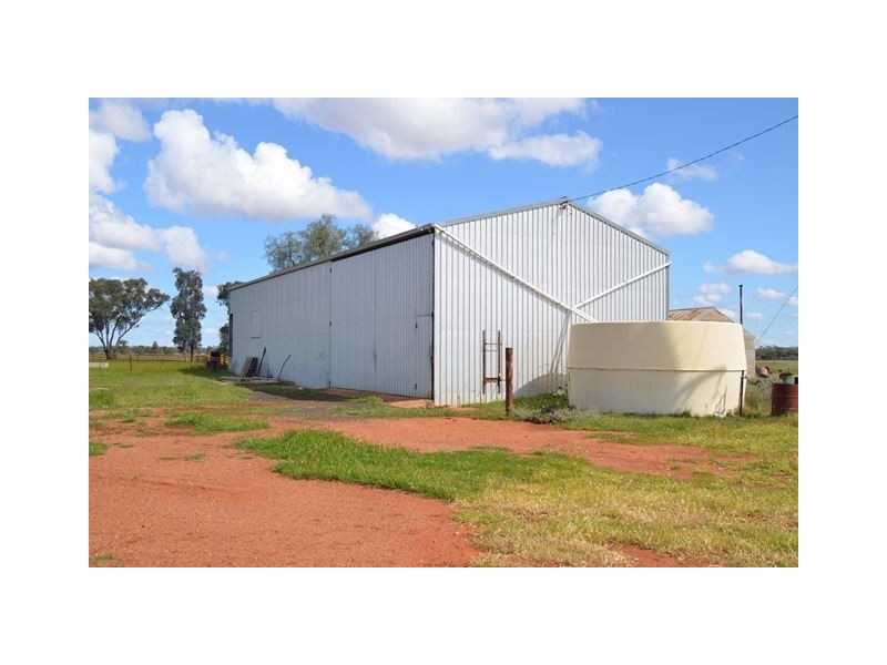 * Marigold, Cobar NSW 2835