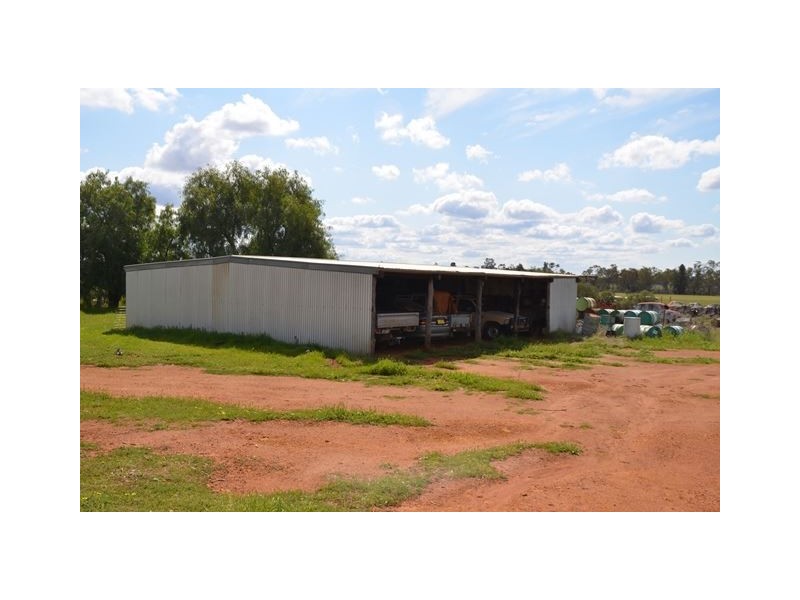 * Marigold, Cobar NSW 2835