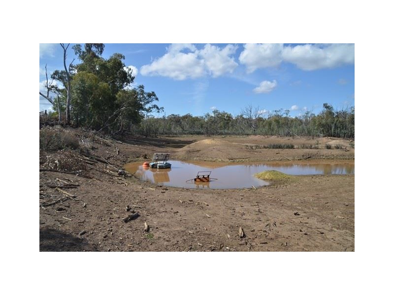 * Marigold, Cobar NSW 2835