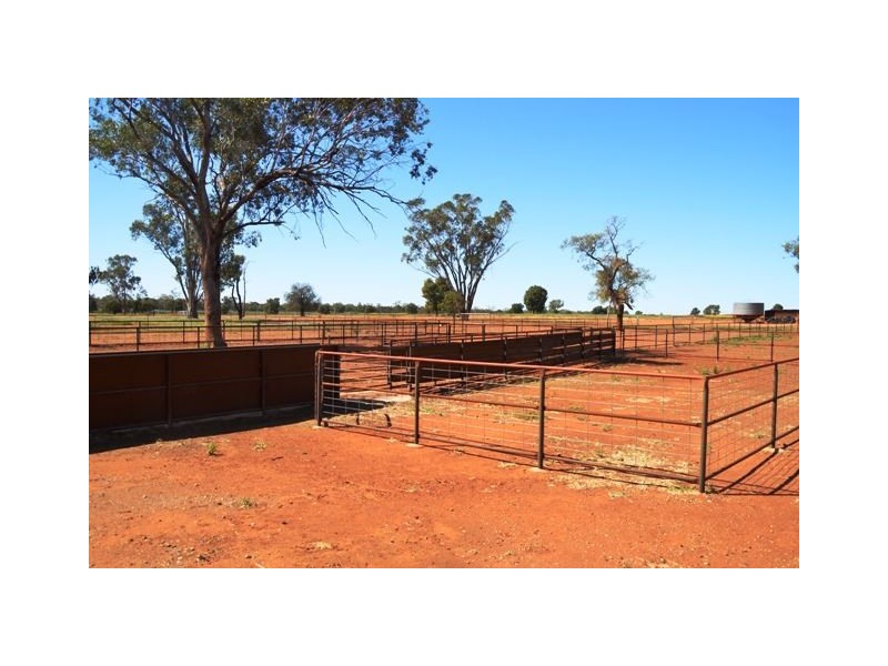 “Okeh” Okeh Road, Girilambone NSW 2831