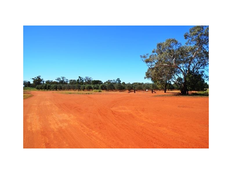 “Okeh” Okeh Road, Girilambone NSW 2831