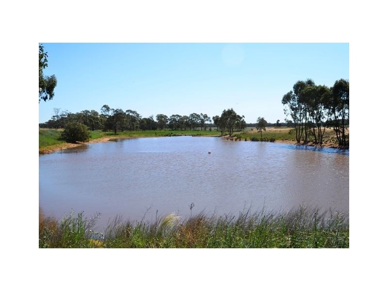 “Okeh” Okeh Road, Girilambone NSW 2831