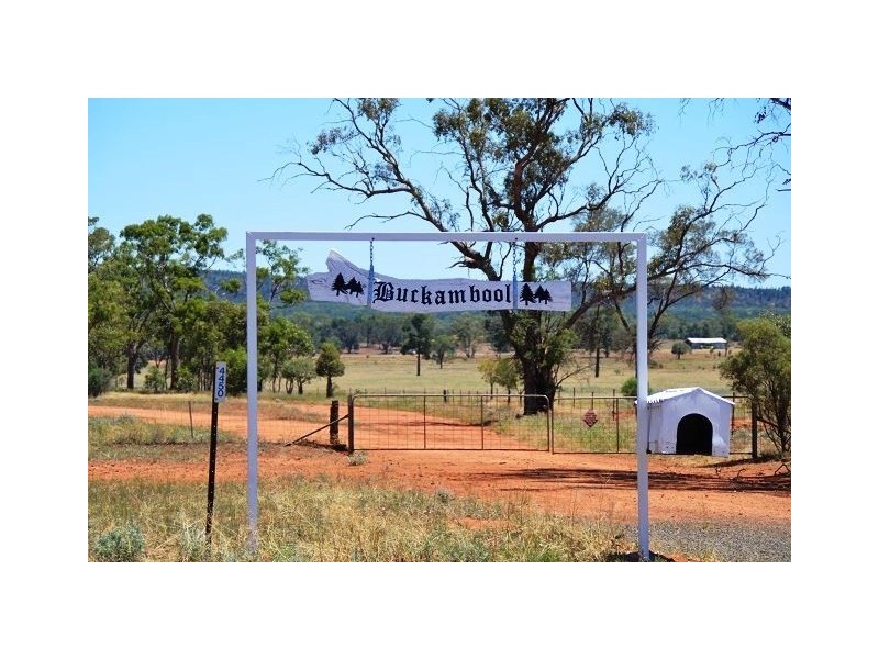 Buckambool Lerida/Roto Road, Cobar NSW 2835