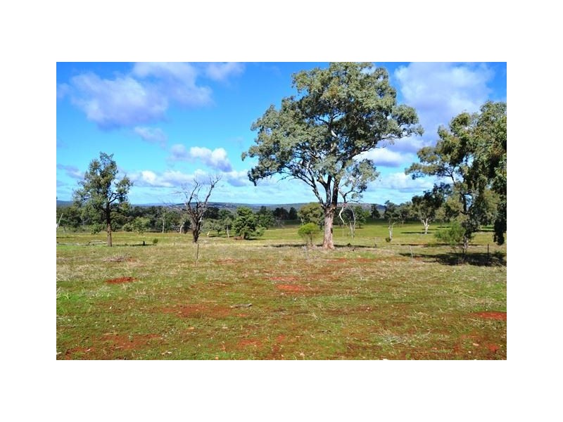 Buckambool Lerida/Roto Road, Cobar NSW 2835