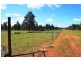 Buckambool Lerida/Roto Road, Cobar NSW 2835