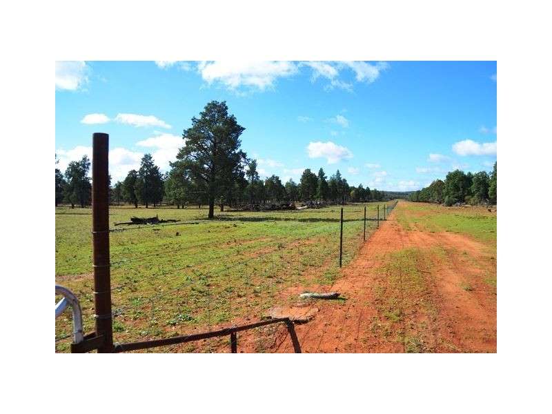 Buckambool Lerida/Roto Road, Cobar NSW 2835