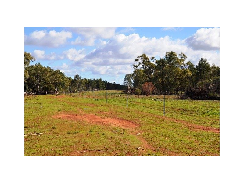 Buckambool Lerida/Roto Road, Cobar NSW 2835