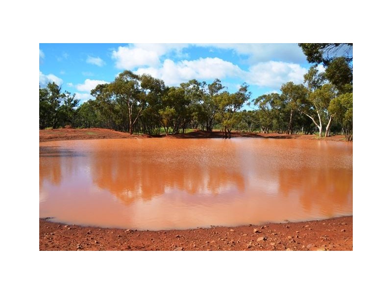 Buckambool Lerida/Roto Road, Cobar NSW 2835