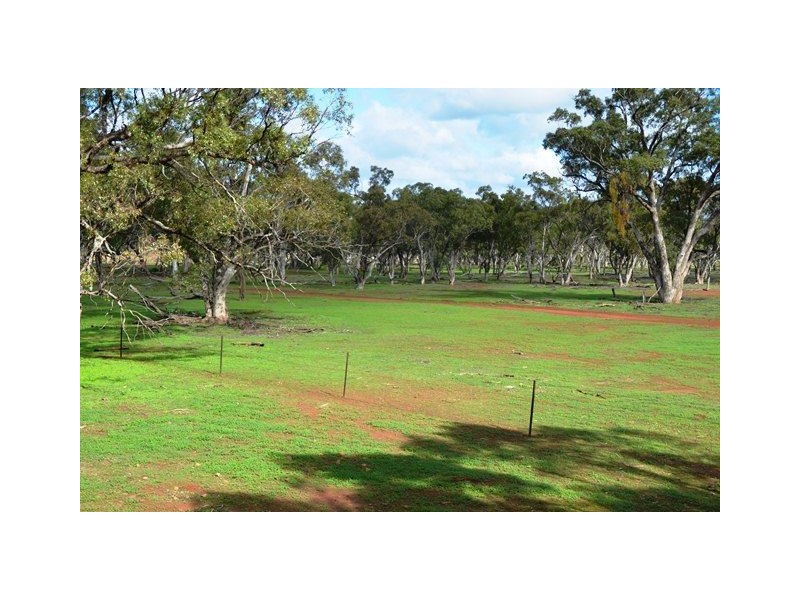 Buckambool Lerida/Roto Road, Cobar NSW 2835