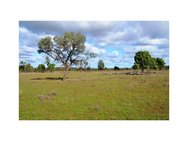 Buckambool Lerida/Roto Road, Cobar NSW 2835