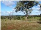 Buckambool Lerida/Roto Road, Cobar NSW 2835