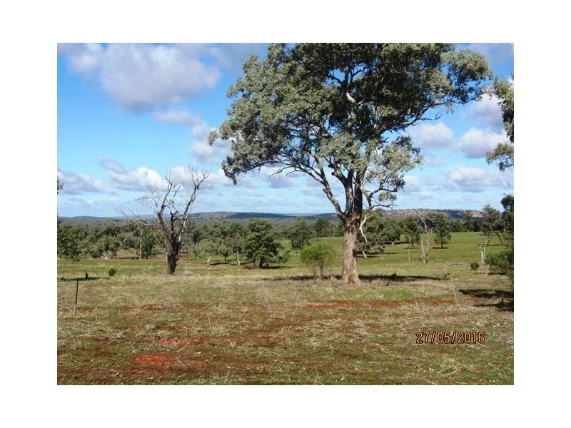 Buckambool Lerida/Roto Road, Cobar NSW 2835