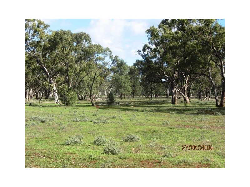 Buckambool Lerida/Roto Road, Cobar NSW 2835