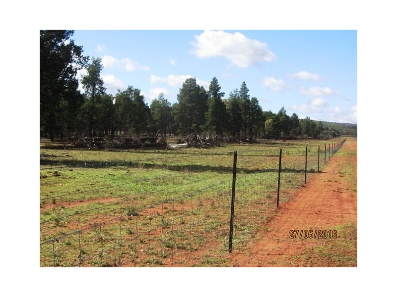Buckambool Lerida/Roto Road, Cobar NSW 2835