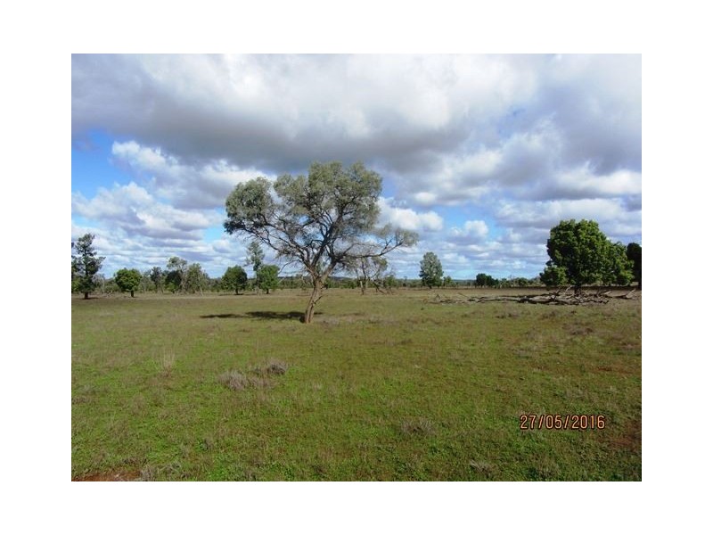 Buckambool Lerida/Roto Road, Cobar NSW 2835