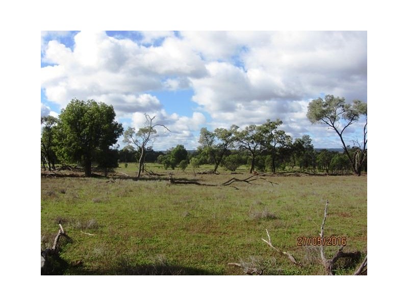 Buckambool Lerida/Roto Road, Cobar NSW 2835