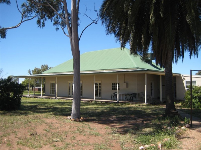 * Wilga, Albert NSW 2873