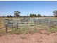 * Wilga, Albert NSW 2873