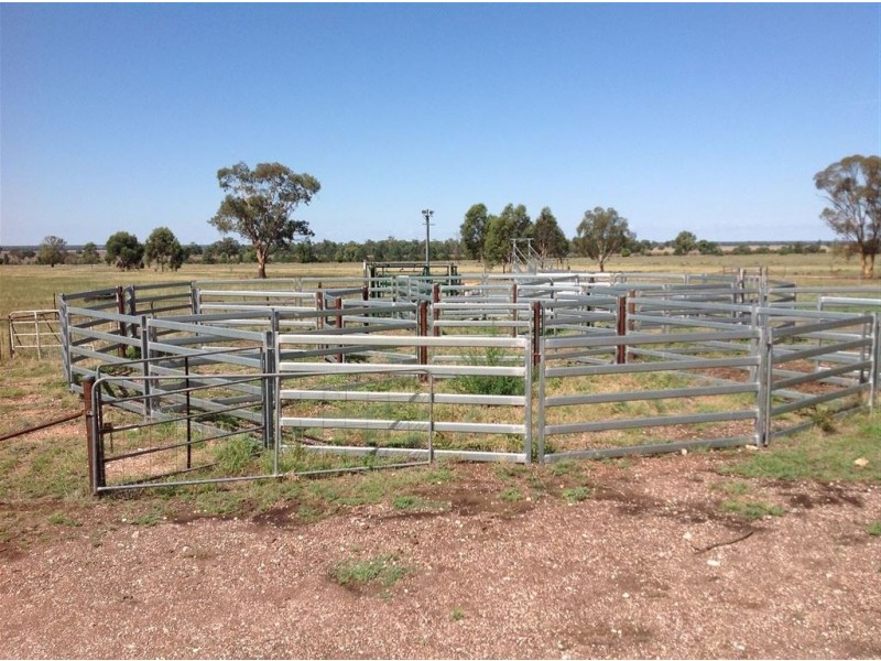 * Wilga, Albert NSW 2873