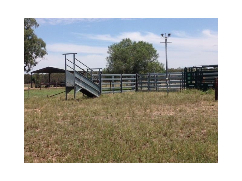* Wilga, Albert NSW 2873